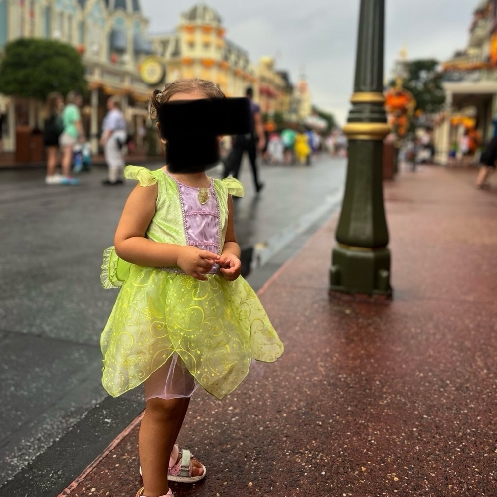 Disney Tinkerbell costume 3T